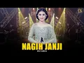 Download Lagu DIKE SABRINA - NAGIH JANJI ( Official Live Music Video ) | DS MUSIC
