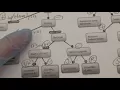 Microbiology Bacteria Identification Flowchart of Facultative Anaerobes