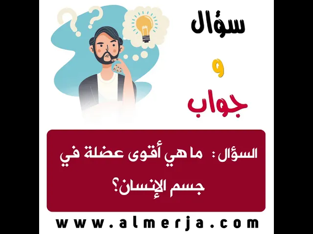 ⁣ثقف نفسك 9 .. سؤال وجواب🕯📔💡📔🕯