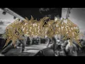 Download Lagu Tribal Gaze - FULL SET (Live at Not So Fun Weekend - March 8th, 2025)