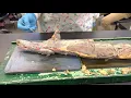 Mink Muscle Dissection part 2