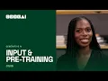 Generative AI Input Pre-training