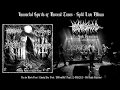 Download Lagu Immortal Spirits of Ancient Times – Split 4 way Live Album (Full Album)