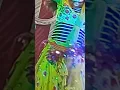 Download Lagu ✓💯🔥Samar Singh|Nagin dhun baja ke💯 short video 🥀