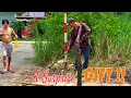 Download Lagu Een jungle omtoveren tot een schoon pad | Een verrassingscadeau van mijn buurman!