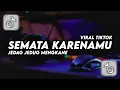 Lagu DJ SEMATA KARENAMU || MALAM BANTU AKU TUK LULUHKAN DIA || JEDAG JEDUG VIRAL TIKTOK