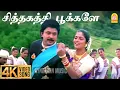 Download Lagu Siththagaththi Pookale - 4K Video Song |சித்தகத்தி பூக்களே |Rajakumaran|Prabhu | Meena | Ilaiyaraaja