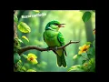 Download Lagu Indahnya kicauan burung cucak hijau di tengah terangnya hutan #trending #shorts #birds