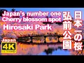 Download Lagu 4K 日本一の桜 弘前公園の桜 弘前城 (Hirosaki Castle) Hirosaki Park,Japan's number one cherry blossom  桜吹雪 観光 sakura