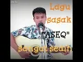 Download Lagu ASEQ Baiq Ellis ( Cover ) MJ Accoustic