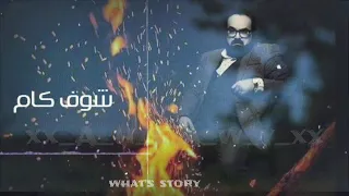 حالات واتس ابو الليف دندنها