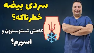 بیضه ها باید گرم باشن یا سرد  حقیقتی جالب درباره سلامت مردان دندنها