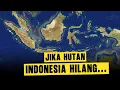 Apa yang terjadi jika Indonesia tanpa Hutan?