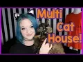Download Lagu Owning more than one cat - Tips for a multi-cat household!