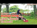 Lagu Lagu Lampung - Wakhah putih - Cover : Amanda - Cipt : Rusli Z - Arr Music: Adi Muhtar