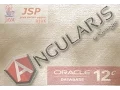 Login validation page with Angularjs using Oracle data with JSP