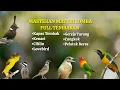 Download Lagu Masteran Materi Lomba Full Tembakan | Isian Tajam Speed Rapat