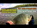Download Lagu Kalau sudah begini jangan tergoda dengan ikan gemuk‼️badai ikan gemuk❗WGM TERBARU||MANCING NYOBOK