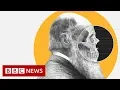 Theory of Evolution How did Darwin come up with it - BBC News