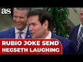 MARCO RUBIO S joke about slimmed-down reporter sends PETE HEGSETH in stitches