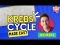 Krebs Cycle Made Easy