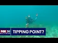 Water at tip of Florida hits hot tub level possibly setting new record