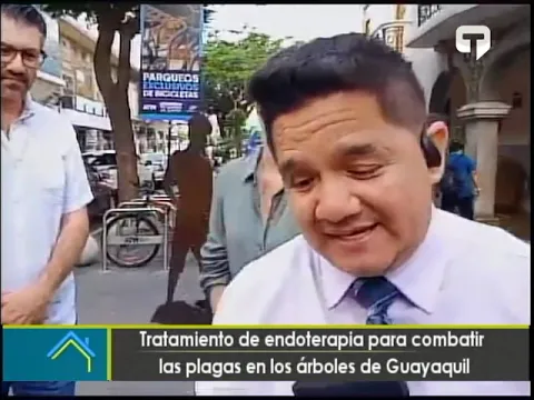 Tratamiento de endoterapia para combatir las plagas en los árboles de Guayaquil