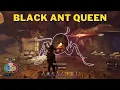 Where To Find The Black Ant Queen in Grounded Black Ant Queen Location