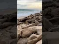 Download Lagu Relaksasi Suara Ombak Pantai dan pemandangan indah