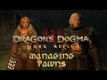 Dragon s Dogma Dark Arisen Managing Pawns