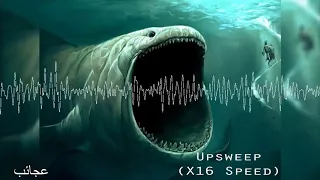 اصوات غريبة تم سماعها من اعماق المحيطات 
