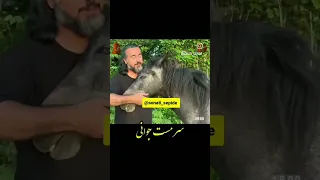 یا رب چه کنم تا به وصالم برسانی 