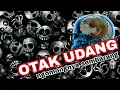 Download Lagu (OTAK UDANG) TONG KOSONG \