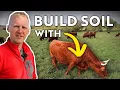 REGENERATIVE GRAZING Using Cows to Rebuild Soil After a Century of Tillage
