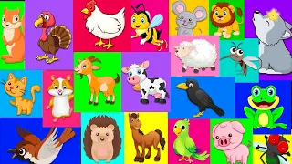 Animal Sounds Song | English nursery rhyme | Baby Song for children