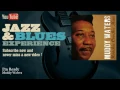 Muddy Waters - I'm Ready