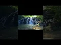 Download Lagu bali rindik music relaxation • bali spa music• relaxing music for spa, concentrate and stress relief