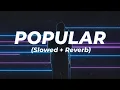 Lagu Popular song (slowed+reverb)- Bir ||daaku|| arsh heer #viral #edited #music #song 