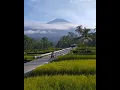 Download Lagu story wa terpesona