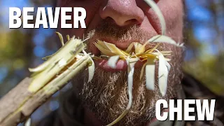 Knife Skills that will Make you Process Wood Faster than A Beaver