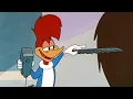 Download Lagu Pica-Pau Barbeiro | 2.5 Horas de Episódios Antigos | Pica-Pau em Português