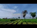 Download Lagu Fatamorgana - Faliq