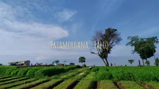 Download Fatamorgana - Faliq MP3