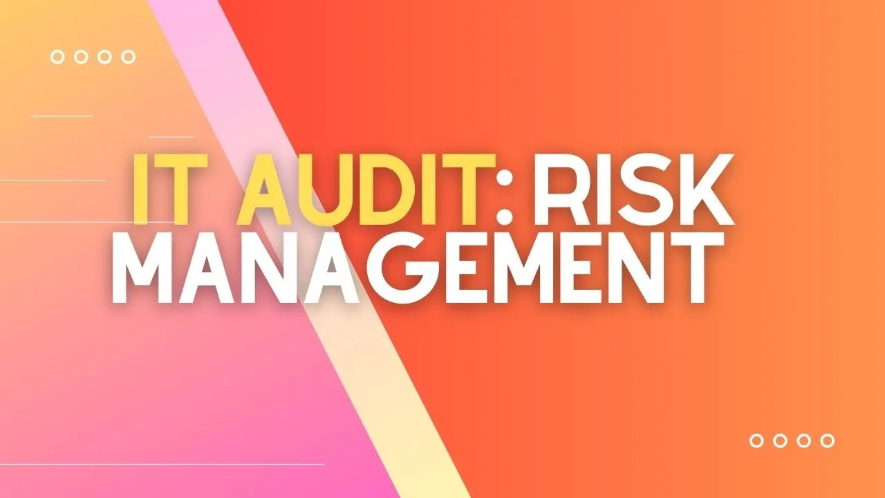 IT Audit: Risk Management