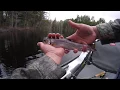 Fly Fishing for Brook Trout On a Small Pond in Maine