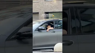 спокойной жизни у него не будет🤣 #нустас #нустасиполя #юмор