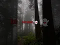 Download Lagu Suara bisikan itu .... ? #CinematicMysstery#IlusiMisteri