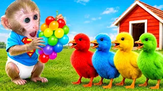 Monyet Bon Bon Imut menjadi polisi untuk menolong anak bebek dan membuat jus semangka warna-warni