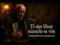 Lagu Ți-am lăsat numele-n vin 🍷 (Dacă ai inimă, stai până la final)