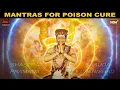 Download Lagu Garuda Upanishad Chanting | Mantras for Poison Cure | Process | Bhagwan Sri Nithyananda Paramashivam
